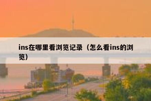 ins在哪里看浏览记录（怎么看ins的浏览） 第1张
