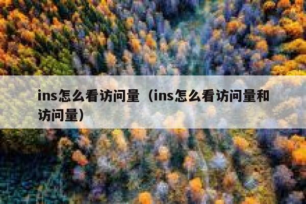 ins怎么看访问量（ins怎么看访问量和访问量） 第1张