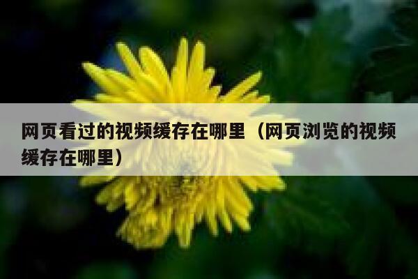 网页看过的视频缓存在哪里（网页浏览的视频缓存在哪里） 第1张