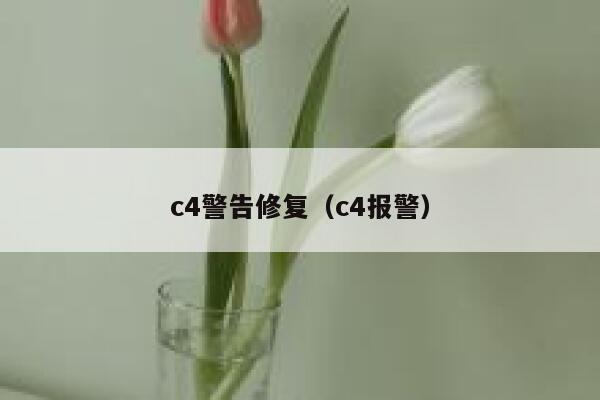 c4警告修复（c4报警） 第1张