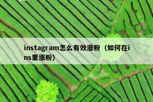 instagram怎么有效涨粉（如何在ins里涨粉） 第1张