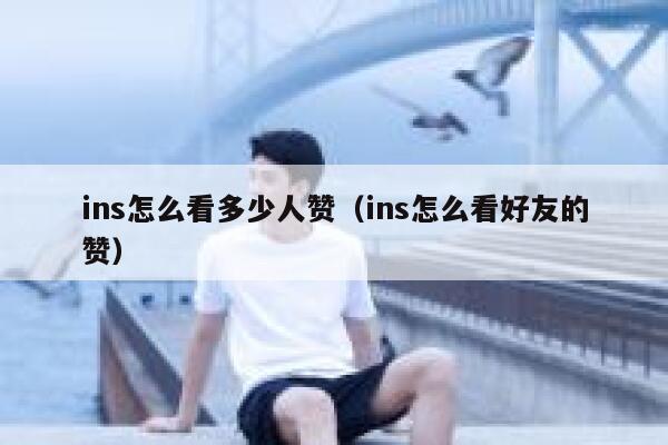 ins怎么看多少人赞（ins怎么看好友的赞） 第1张
