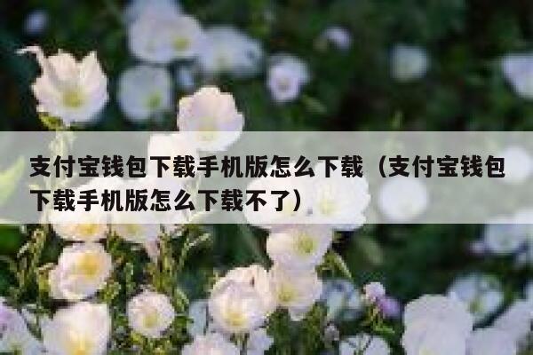 支付宝钱包下载手机版怎么下载（支付宝钱包下载手机版怎么下载不了） 第1张