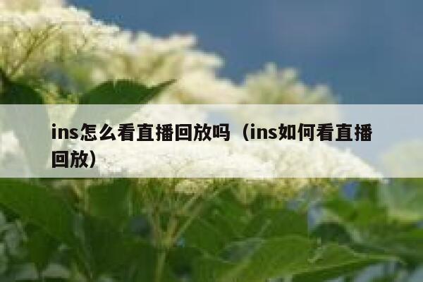 ins怎么看直播回放吗（ins如何看直播回放） 第1张
