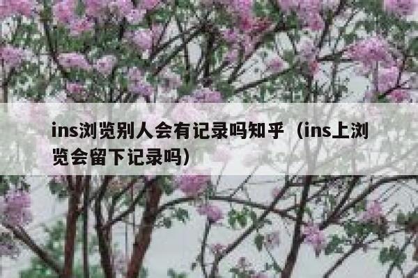 ins浏览别人会有记录吗知乎（ins上浏览会留下记录吗） 第1张