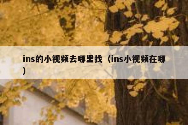 ins的小视频去哪里找（ins小视频在哪） 第1张