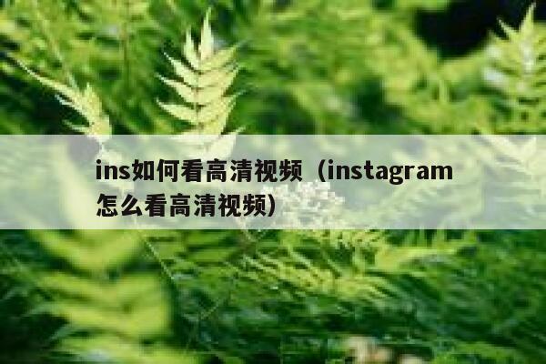 ins如何看高清视频（instagram怎么看高清视频） 第1张