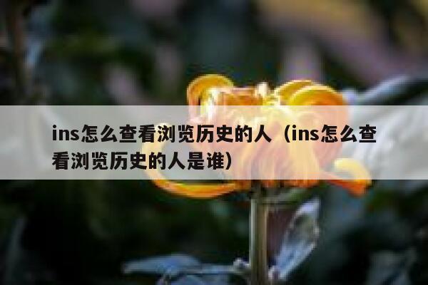 ins怎么查看浏览历史的人（ins怎么查看浏览历史的人是谁） 第1张