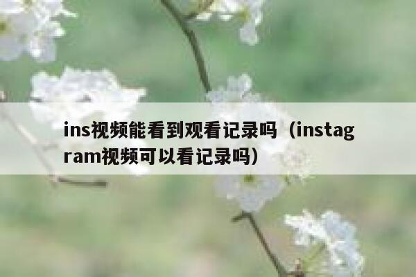 ins视频能看到观看记录吗（instagram视频可以看记录吗） 第1张