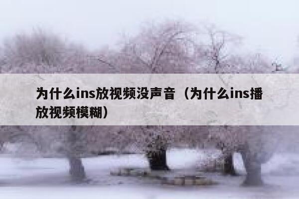 为什么ins放视频没声音（为什么ins播放视频模糊） 第1张