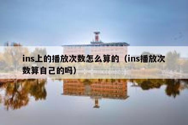 ins上的播放次数怎么算的（ins播放次数算自己的吗） 第1张