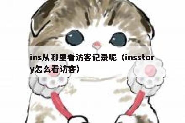 ins从哪里看访客记录呢（insstory怎么看访客） 第1张