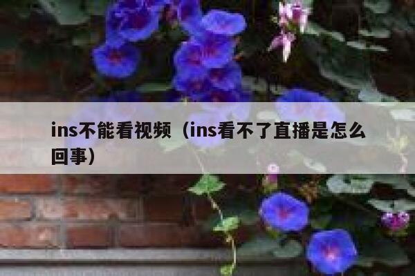 ins不能看视频（ins看不了直播是怎么回事） 第1张