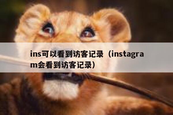 ins可以看到访客记录（instagram会看到访客记录） 第1张