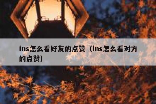 ins怎么看好友的点赞（ins怎么看对方的点赞） 第1张