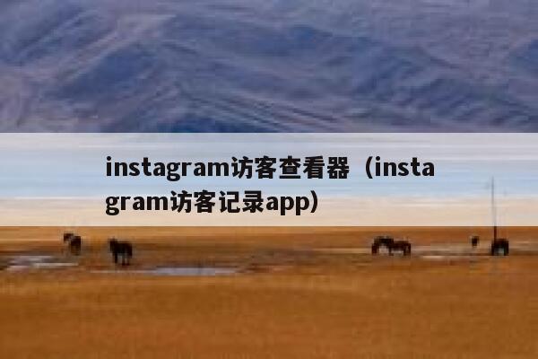 instagram访客查看器（instagram访客记录app） 第1张