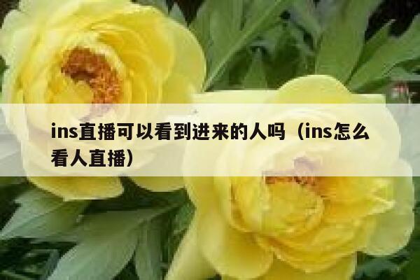 ins直播可以看到进来的人吗（ins怎么看人直播） 第1张