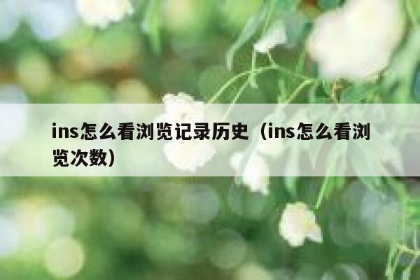 ins怎么看浏览记录历史（ins怎么看浏览次数） 第1张