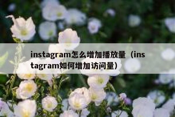instagram怎么增加播放量（instagram如何增加访问量） 第1张