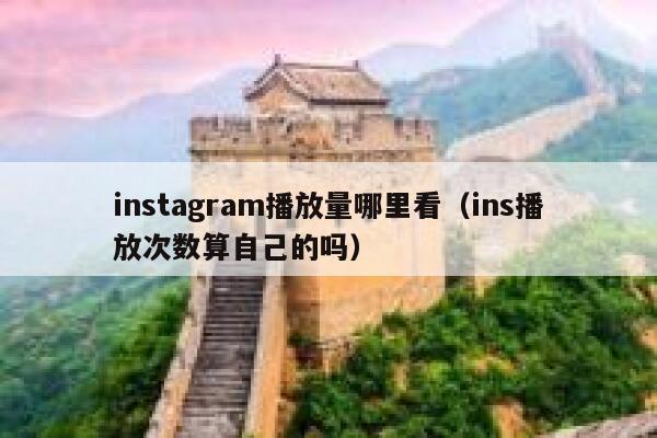 instagram播放量哪里看（ins播放次数算自己的吗） 第1张