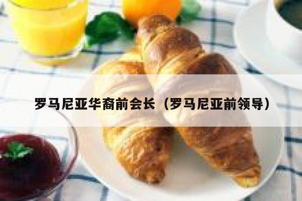 罗马尼亚华裔前会长（罗马尼亚前领导） 第1张
