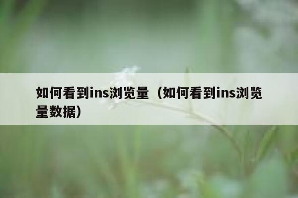 如何看到ins浏览量（如何看到ins浏览量数据） 第1张