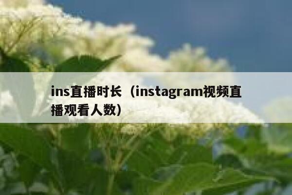 ins直播时长（instagram视频直播观看人数） 第1张