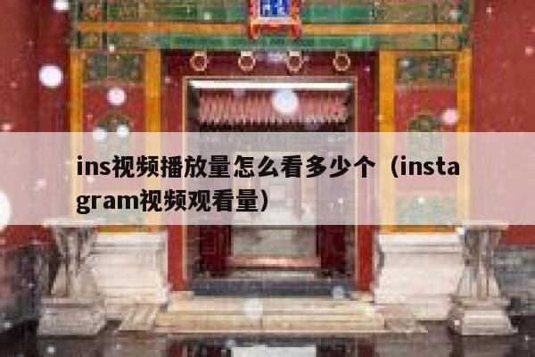 ins视频播放量怎么看多少个（instagram视频观看量） 第1张