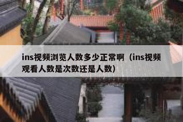 ins视频浏览人数多少正常啊（ins视频观看人数是次数还是人数） 第1张