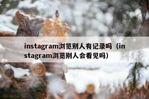 instagram浏览别人有记录吗（instagram浏览别人会看见吗） 第1张