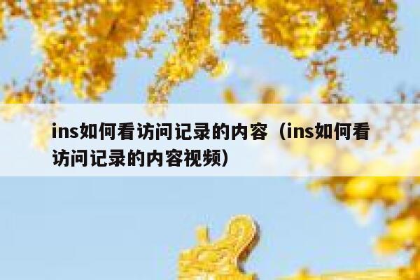 ins如何看访问记录的内容（ins如何看访问记录的内容视频） 第1张
