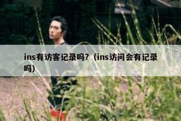 ins有访客记录吗?（ins访问会有记录吗） 第1张