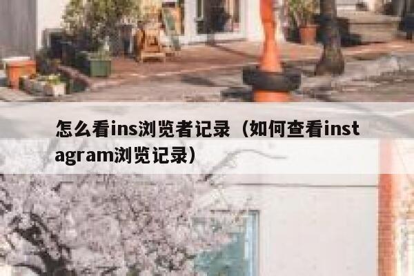 怎么看ins浏览者记录（如何查看instagram浏览记录） 第1张
