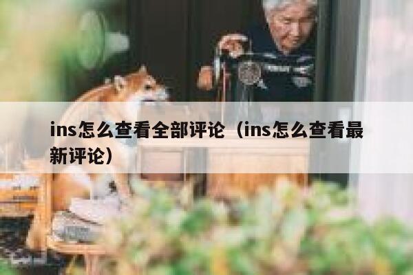 ins怎么查看全部评论（ins怎么查看最新评论） 第1张