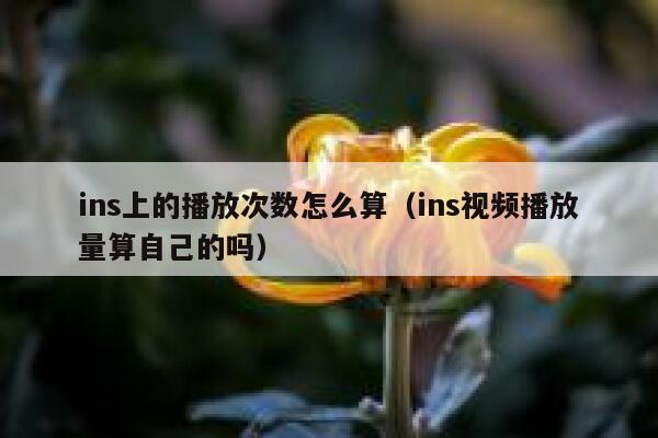 ins上的播放次数怎么算（ins视频播放量算自己的吗） 第1张