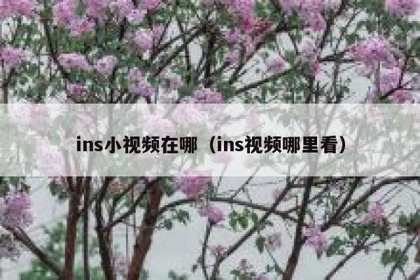 ins小视频在哪（ins视频哪里看） 第1张