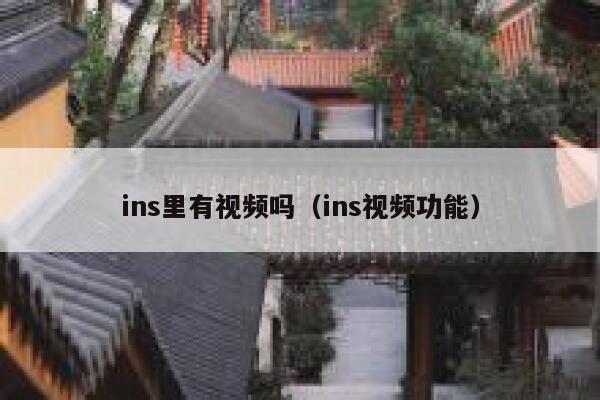 ins里有视频吗（ins视频功能） 第1张