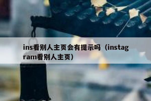ins看别人主页会有提示吗（instagram看别人主页） 第1张