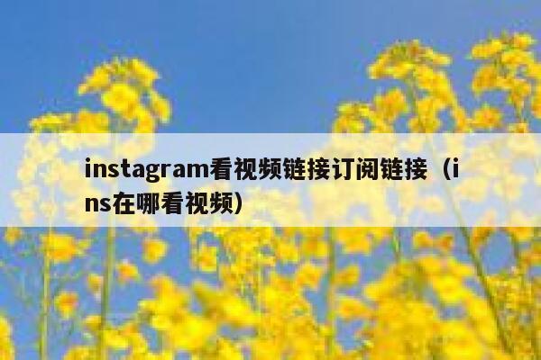 instagram看视频链接订阅链接（ins在哪看视频） 第1张