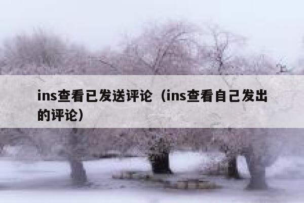 ins查看已发送评论（ins查看自己发出的评论） 第1张