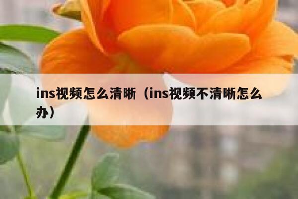 ins视频怎么清晰（ins视频不清晰怎么办） 第1张