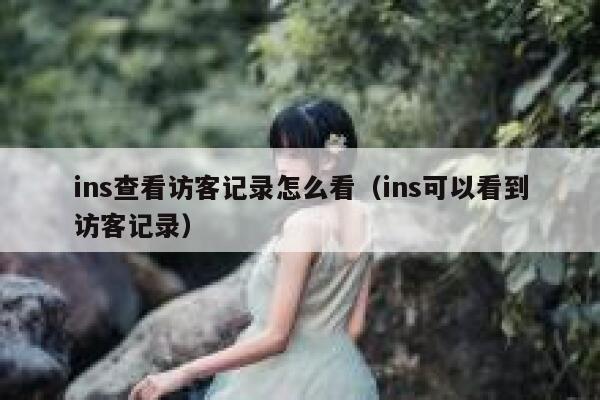 ins查看访客记录怎么看（ins可以看到访客记录） 第1张