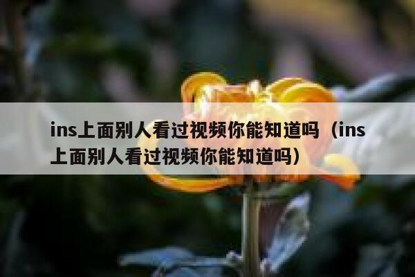 ins上面别人看过视频你能知道吗（ins上面别人看过视频你能知道吗） 第1张