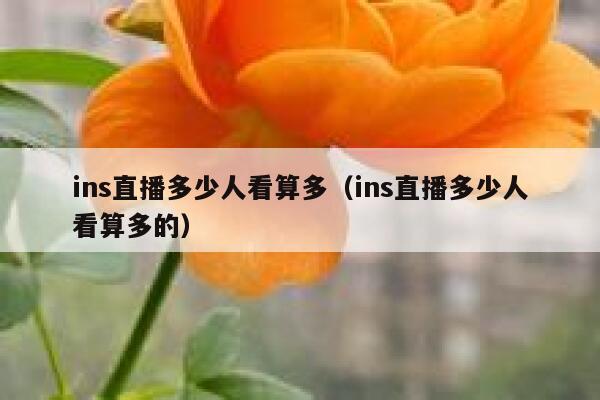 ins直播多少人看算多（ins直播多少人看算多的） 第1张