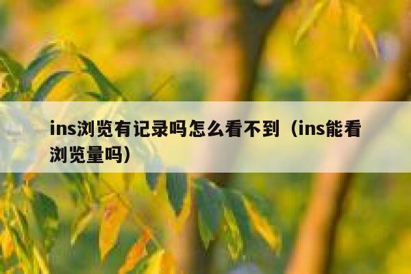 ins浏览有记录吗怎么看不到（ins能看浏览量吗） 第1张