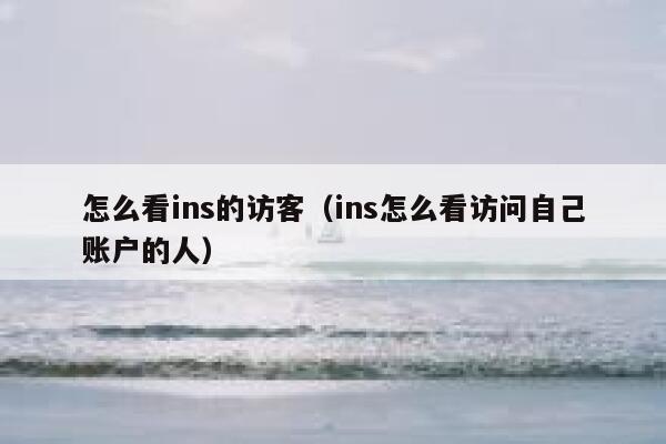 怎么看ins的访客（ins怎么看访问自己账户的人） 第1张