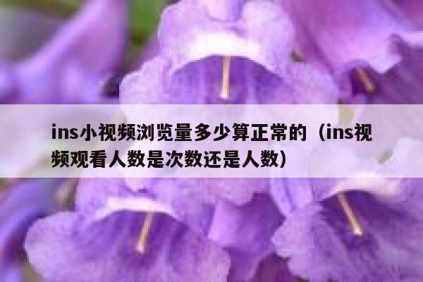 ins小视频浏览量多少算正常的（ins视频观看人数是次数还是人数） 第1张