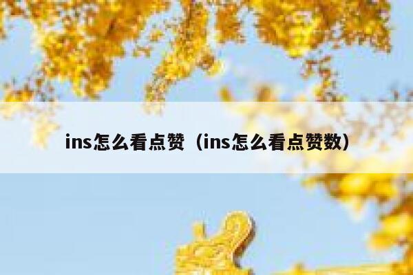 ins怎么看点赞（ins怎么看点赞数） 第1张