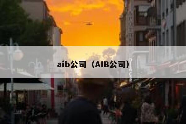 aib公司（AIB公司） 第1张