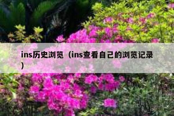 ins历史浏览（ins查看自己的浏览记录） 第1张